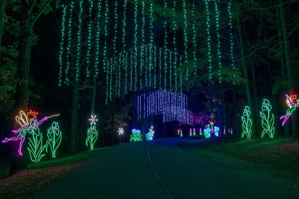 A road through dark woods passes under arches of white string lights, with glowing flower and fairy figures on both sides