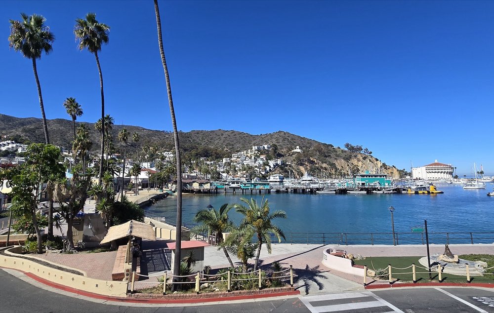 Avalon Bay under a clear blue sky, with tall palms and a waterfront walk in front, hillside houses and moored boats, and the round white Catalina Casino on the far point