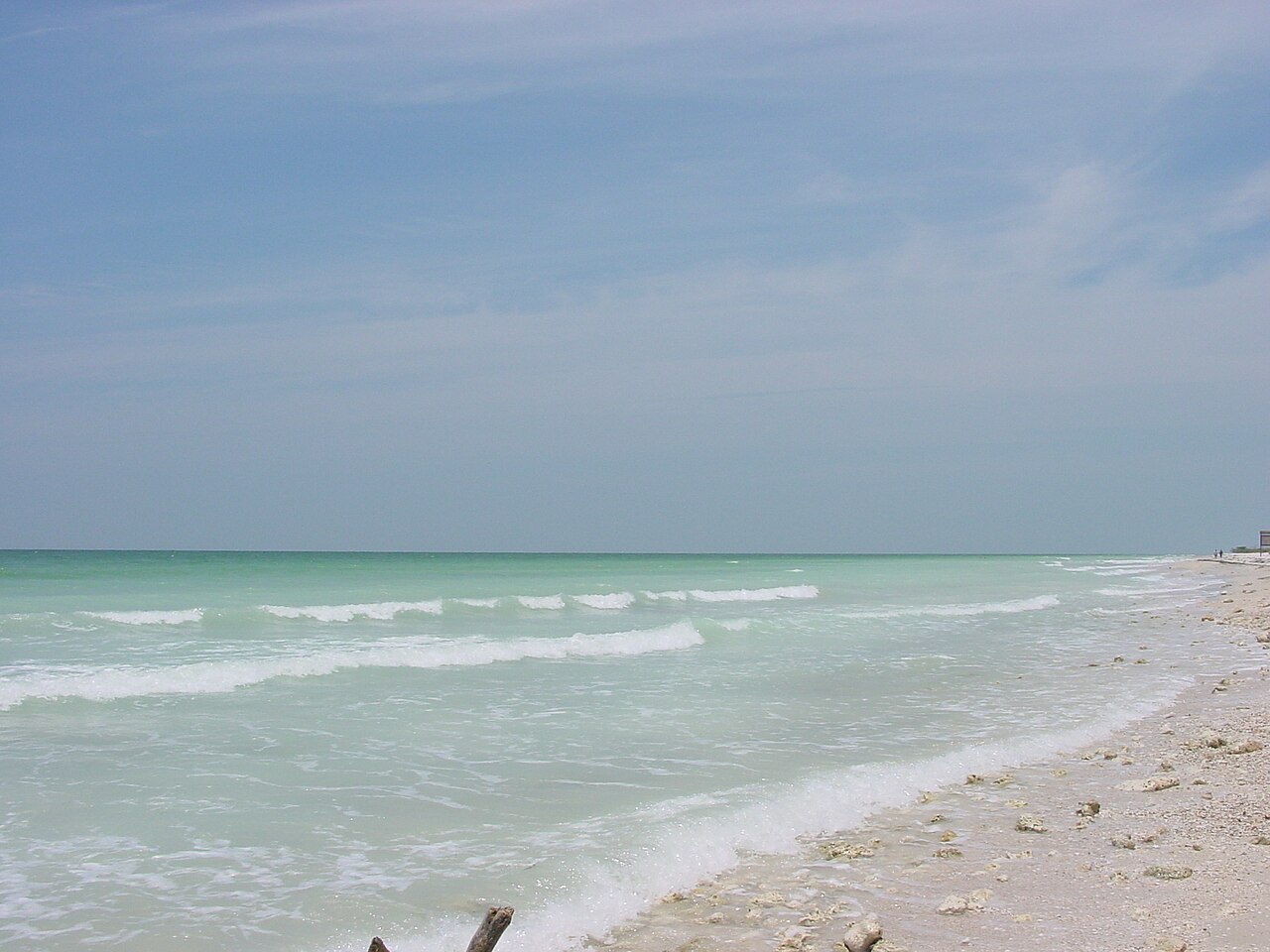 Beach and shoreline at Honeymoon Island State Park