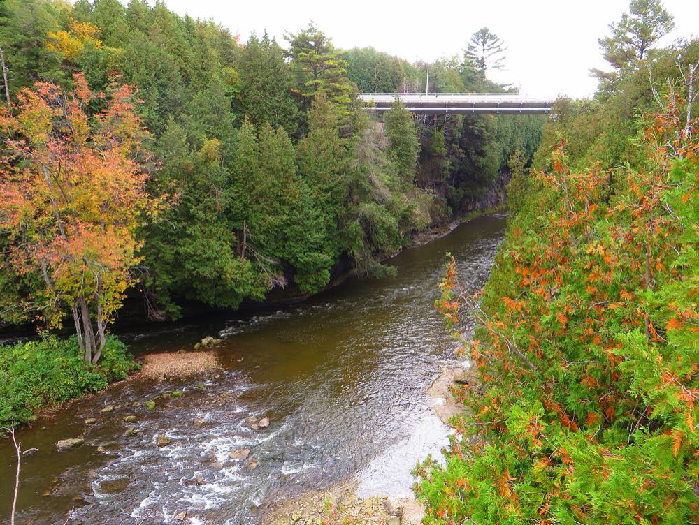 The Grand River runs over a rocky bed between steep cedar-covered walls of the Elora Gorge, with early autumn colour on the trees and a road bridge across the gorge in the distance