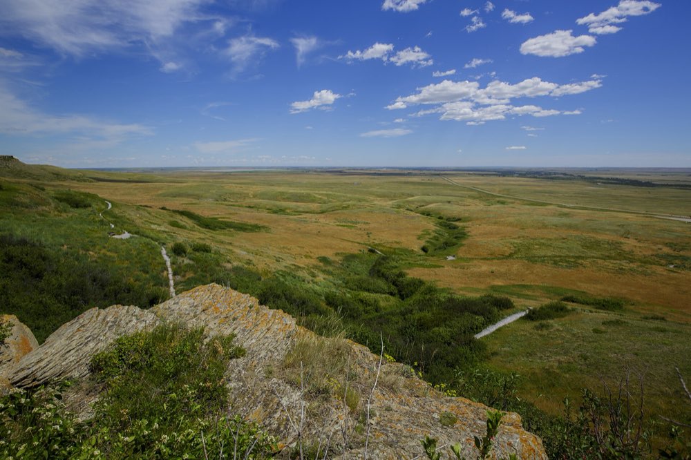 View from the lichen-covered sandstone rim of the buffalo jump over rolling green and golden prairie under a big blue sky, with a walking trail winding along the slope below