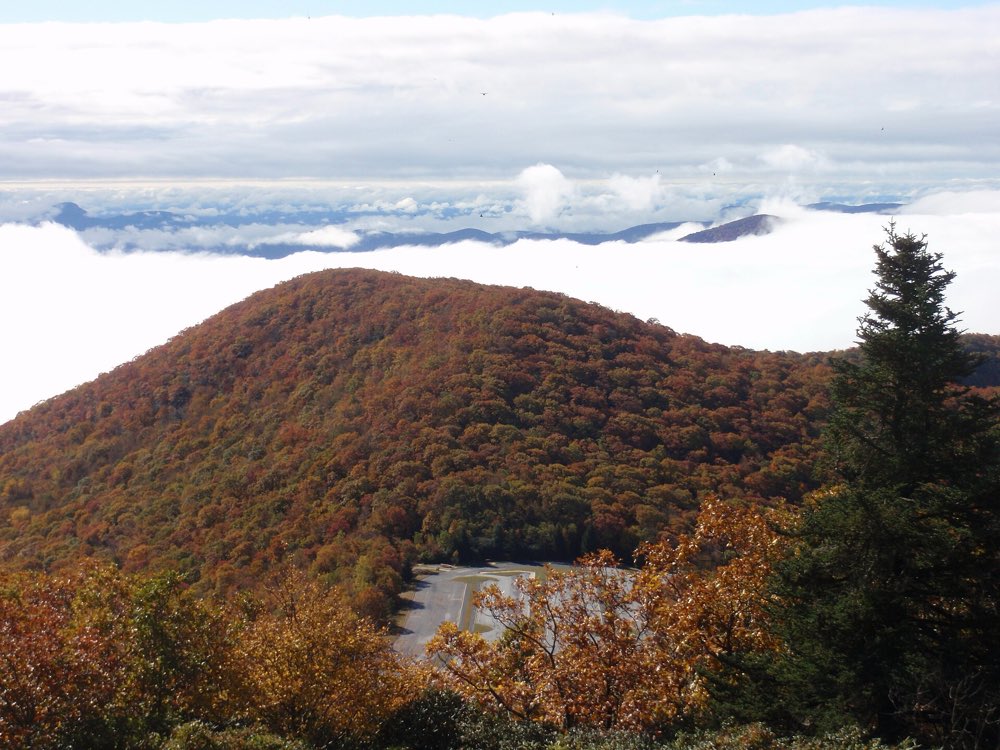 A rounded ridge covered in rust and orange autumn forest seen from Brasstown Bald, with a sea of low cloud and distant blue mountains beyond
