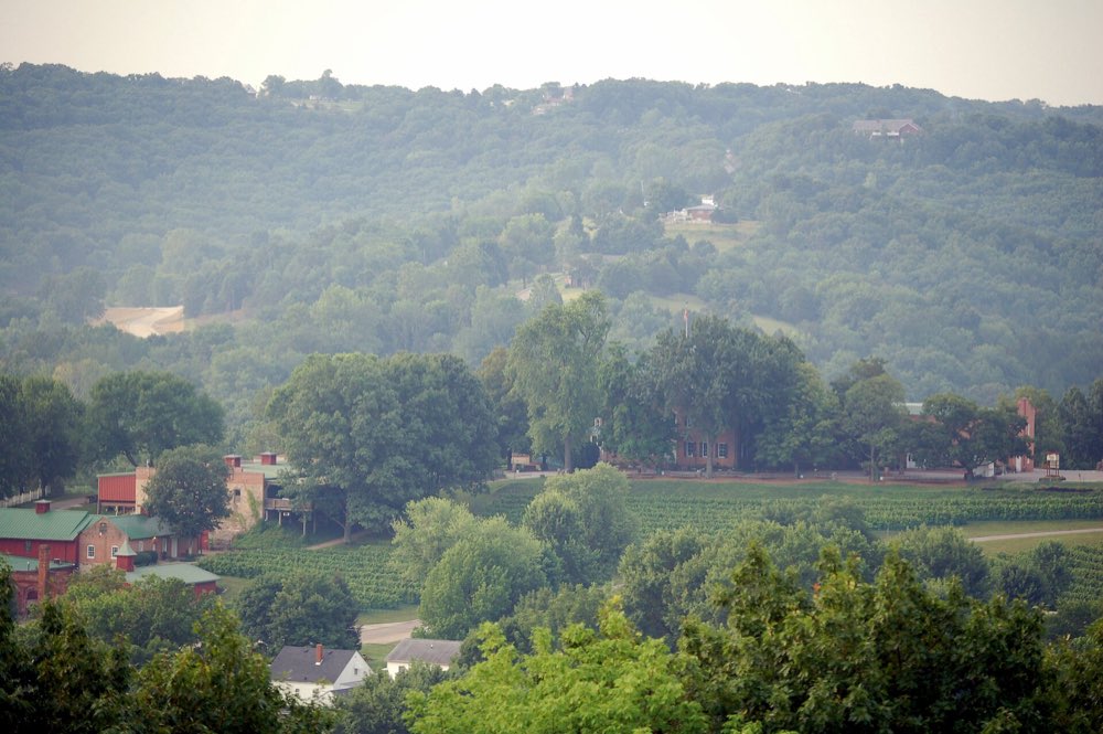 Green vineyard rows and the rooftops of Hermann below wooded Missouri River hills, seen from above the town on a hazy summer morning