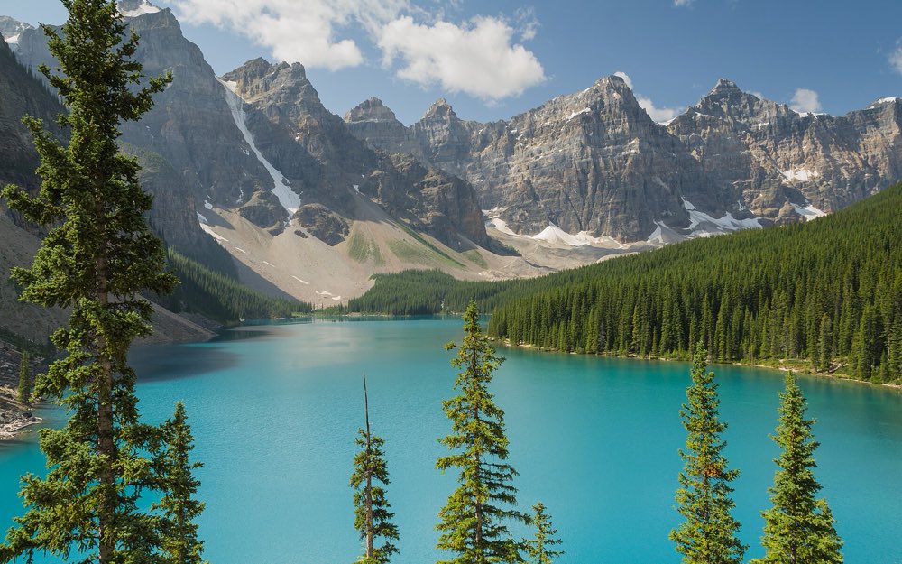 Bright turquoise Moraine Lake framed by tall spruce trees, with the jagged, snow-streaked peaks of the Valley of the Ten Peaks rising beyond a forested shore