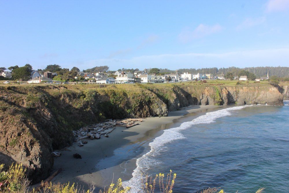 Mendocino village's white wooden houses lining a grassy bluff above a sandy cove, with surf on the beach, eroded cliffs and yellow wildflowers in the foreground