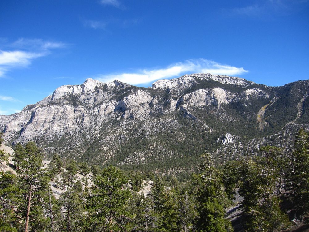 Pale limestone cliffs of Mummy Mountain rising above a dark green pine forest under a blue sky