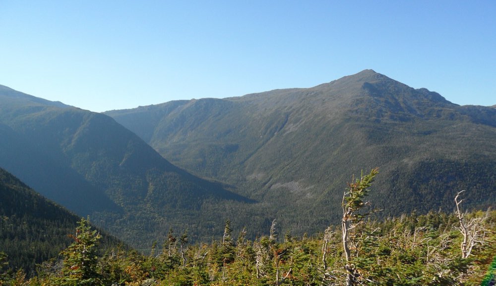 Bare, rocky peaks of the Presidential Range rising across a deep, forested glacial valley, seen over wind-bent spruce from high on Mount Washington under a clear blue sky