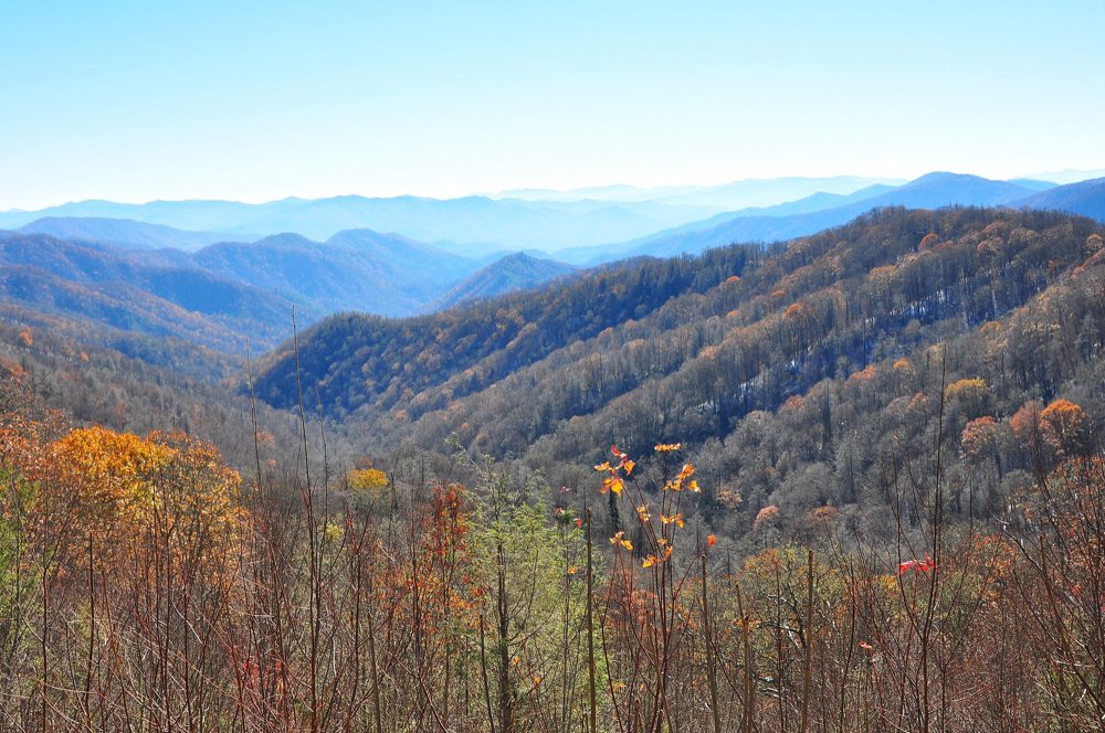 Layered blue ridges of the Smokies fading into haze beyond a valley of bare and orange late-fall trees seen from an overlook on Newfound Gap Road