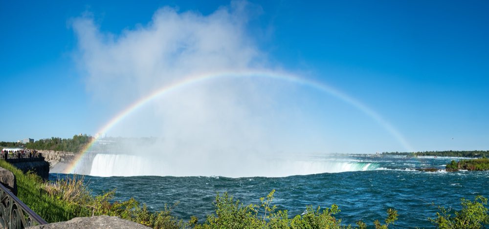 A full rainbow arches over the white curtain and rising mist of the Horseshoe Falls under a clear blue sky, with green riverbank shrubs in the foreground