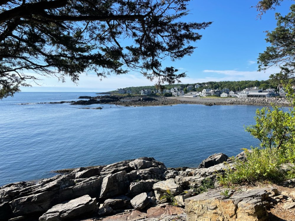 Calm blue water of Oarweed Cove framed by pine branches, with flat ledges in the foreground and the houses of the Perkins Cove peninsula across the water