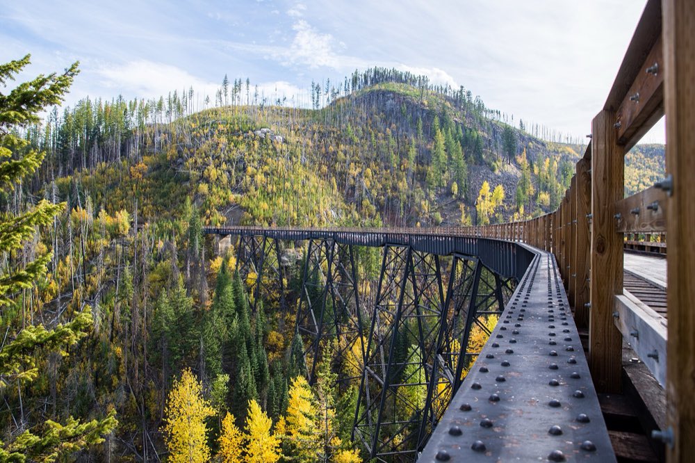Looking along the steel walkway of a Myra Canyon trestle toward a curving wooden trestle over a forested canyon, with golden fall aspens on the slopes