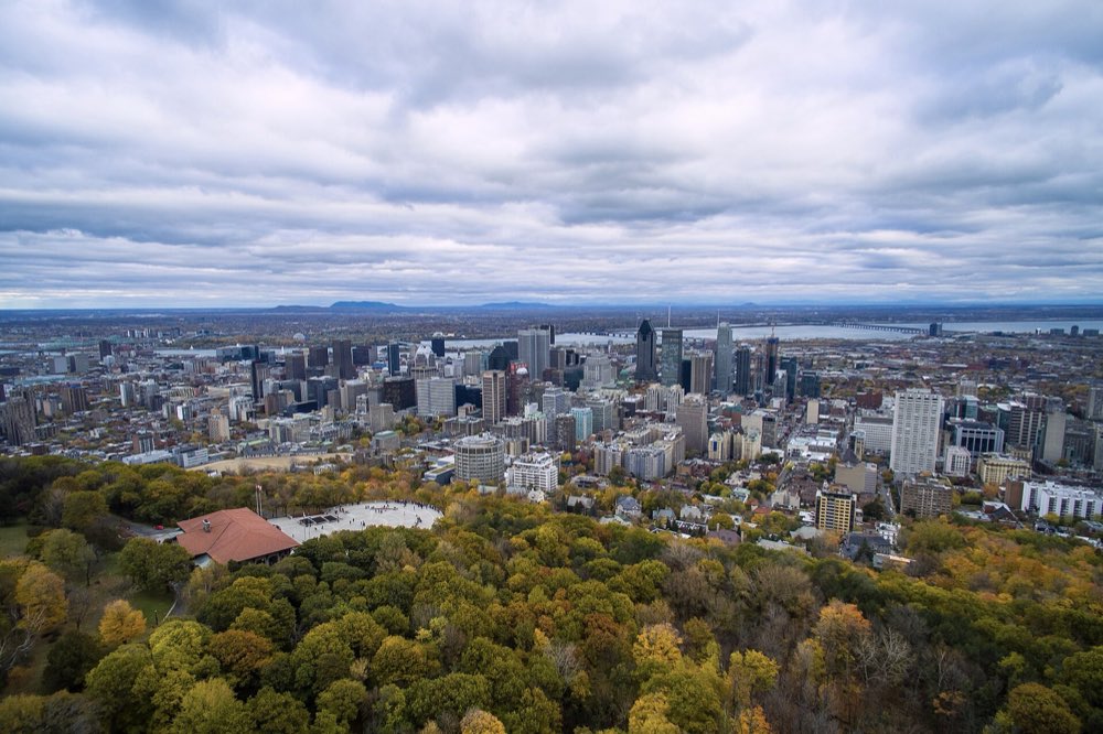 Downtown Montreal's towers rise beyond a slope of yellow and orange autumn trees on Mount Royal, with the Kondiaronk lookout's chalet roof at lower left and the St. Lawrence River on the horizon under a grey sky
