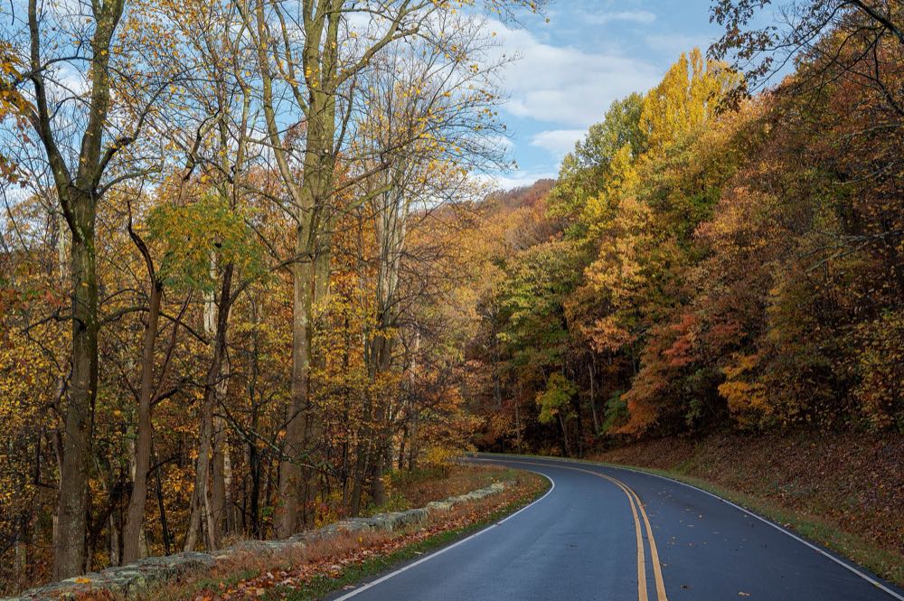 Skyline Drive curving through a forest of gold, orange and red trees under a partly cloudy blue sky, with a low stone wall along the left shoulder