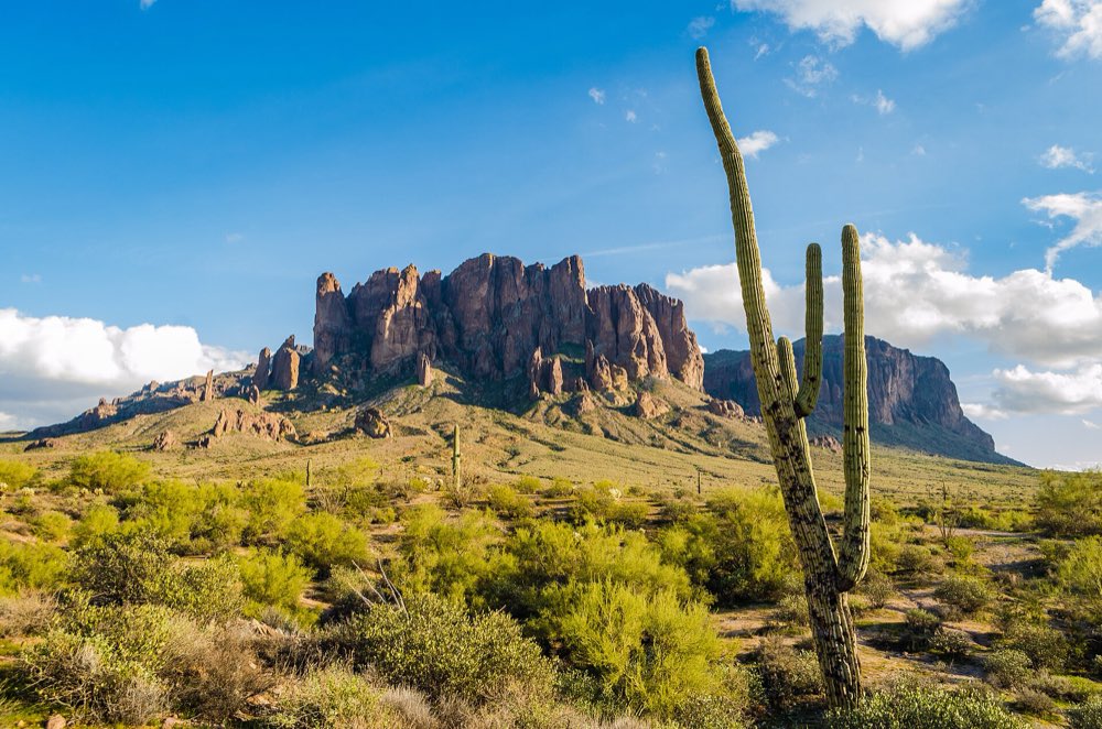 The sheer cliffs of Superstition Mountain lit by afternoon sun above green desert scrub, with a tall saguaro in the foreground and white clouds in a blue sky