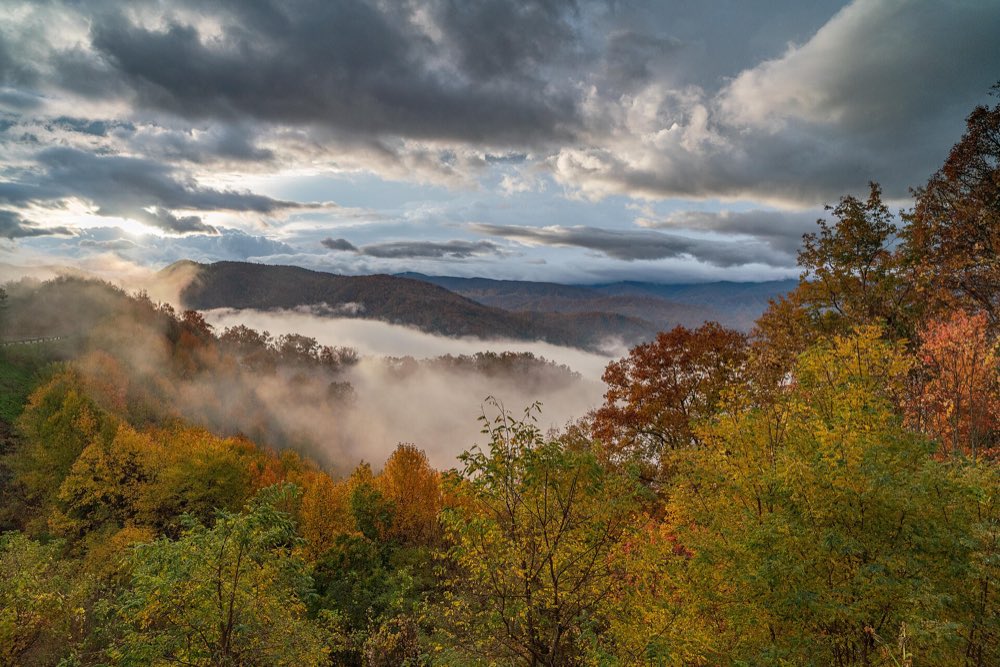 Morning fog lying in a valley below a Foothills Parkway overlook, with autumn trees in yellow and red in the foreground and layered ridges under a cloudy sky