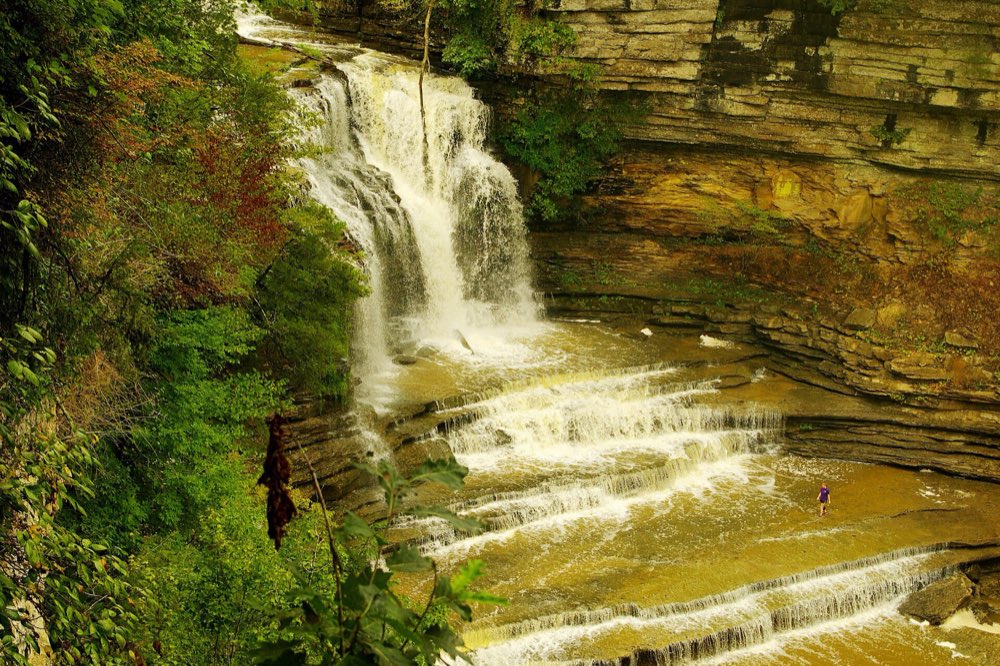 Cummins Falls pouring over a layered limestone ledge into a gorge, with wide stair-step cascades below, green summer forest on the left and a tall rock wall on the right