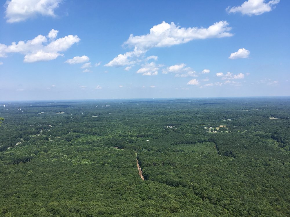 A wide view east from the rocky summit of Crowders Mountain over unbroken green forest to a flat horizon under a blue sky with white clouds